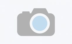 Thông tư 08/2025/TT-BGDĐT, ngày 12/5/2025 Quy định thời hạn lưu trữ, bảo quản hồ sơ thuộc lĩnh vực giáo dục đào tạo Default Image